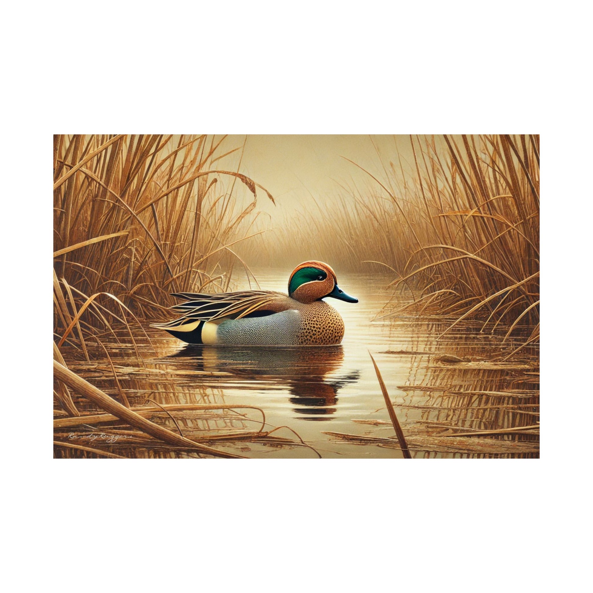 Green Winged Teal Print