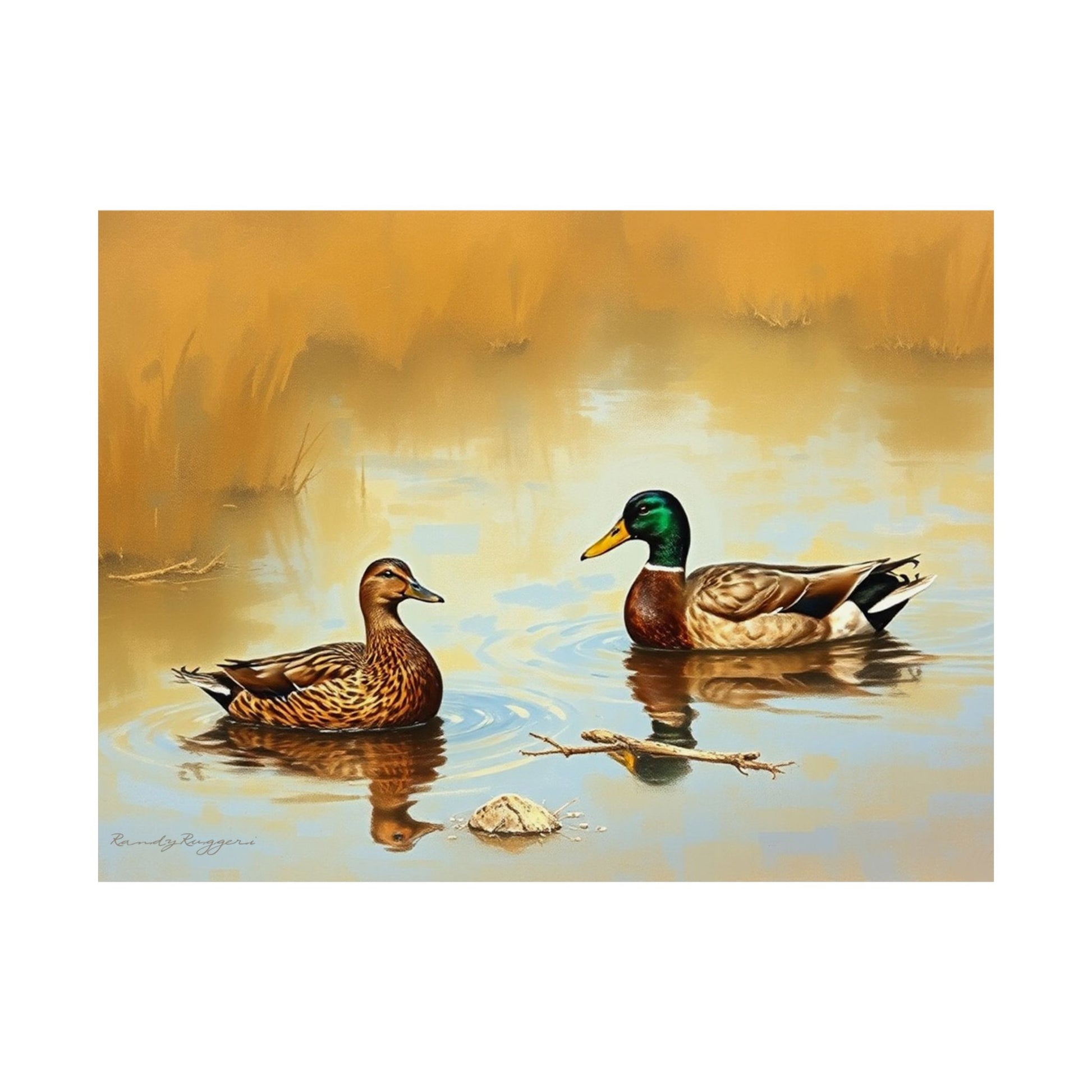 Refuge in the Shallow Marsh Duck Print