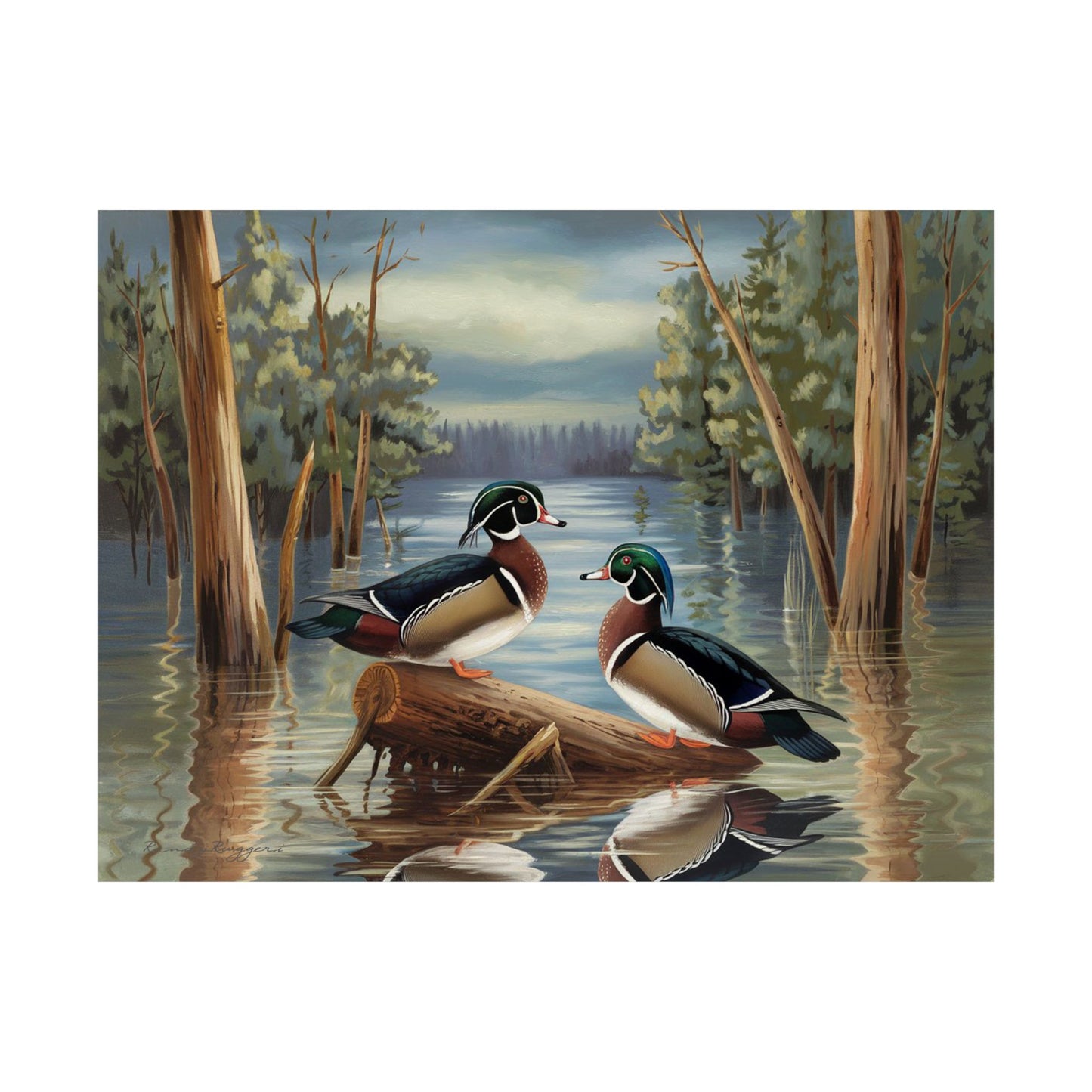 Roosting Woodies Flooded Timber Print