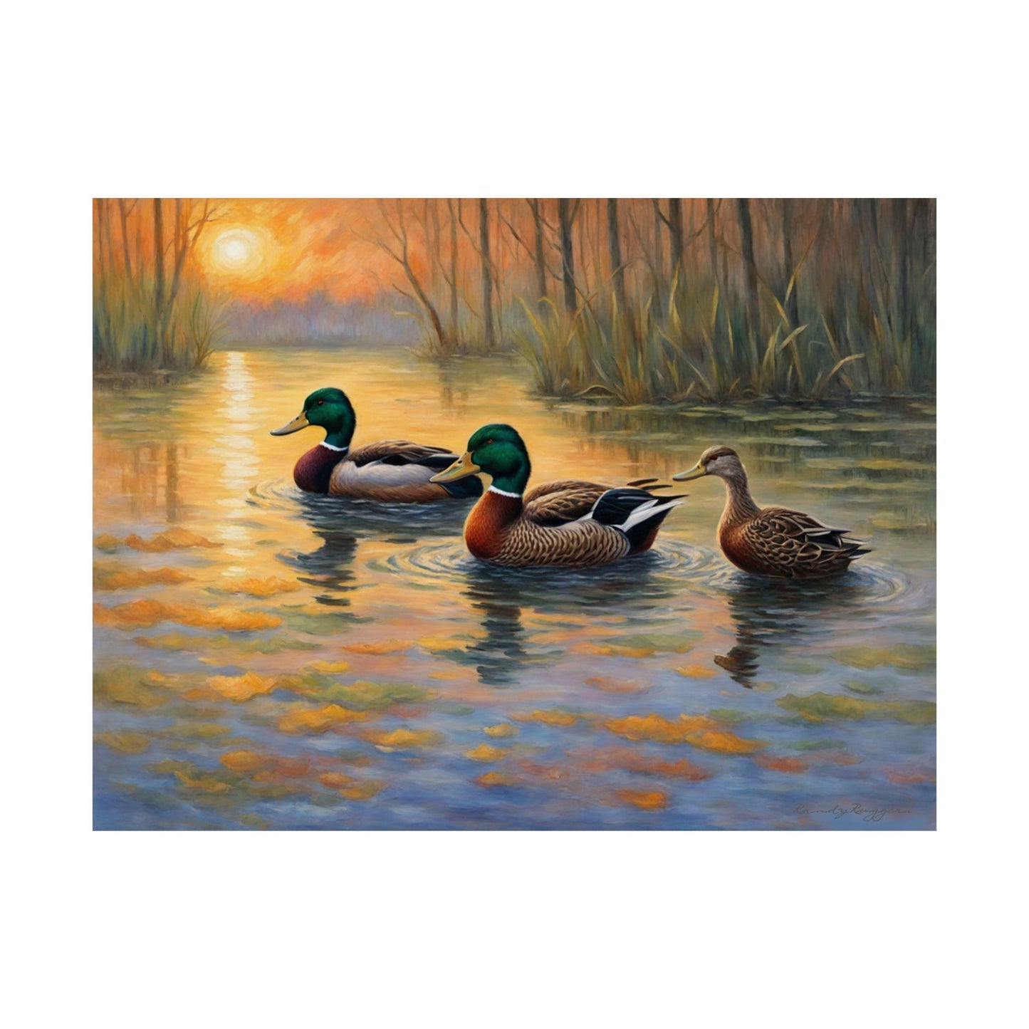 Twilight Refuge Flooded Timber Duck Print