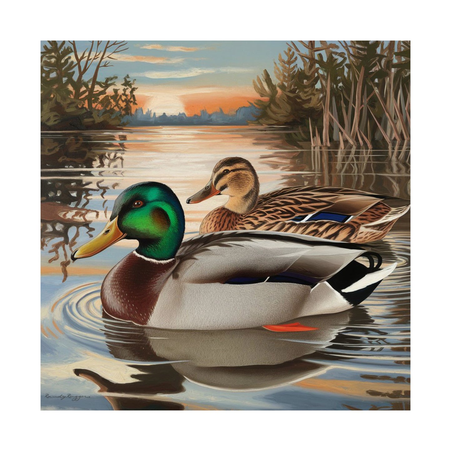 Peaceful Companionship Mallard Print