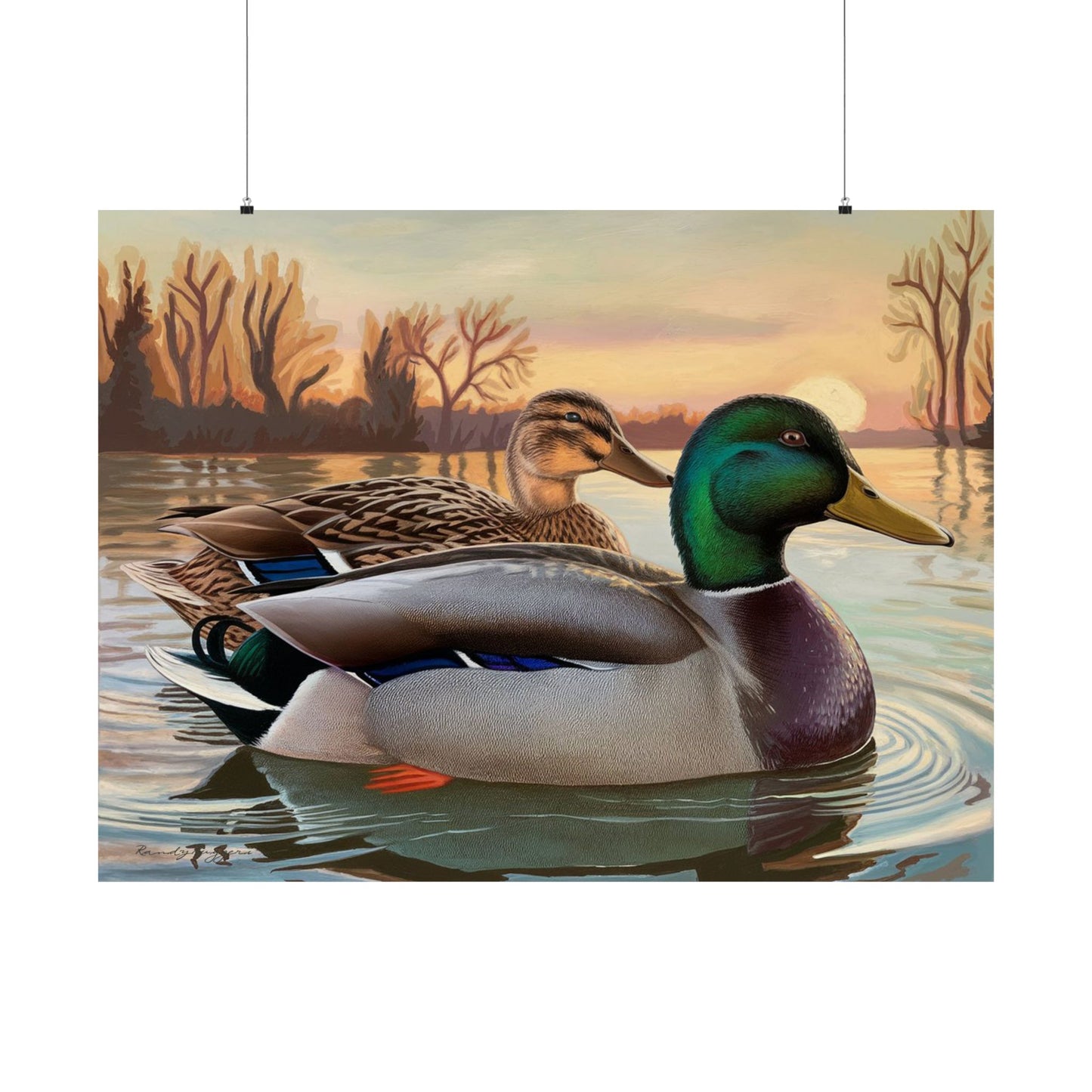 Peaceful Companionship Mallard Print