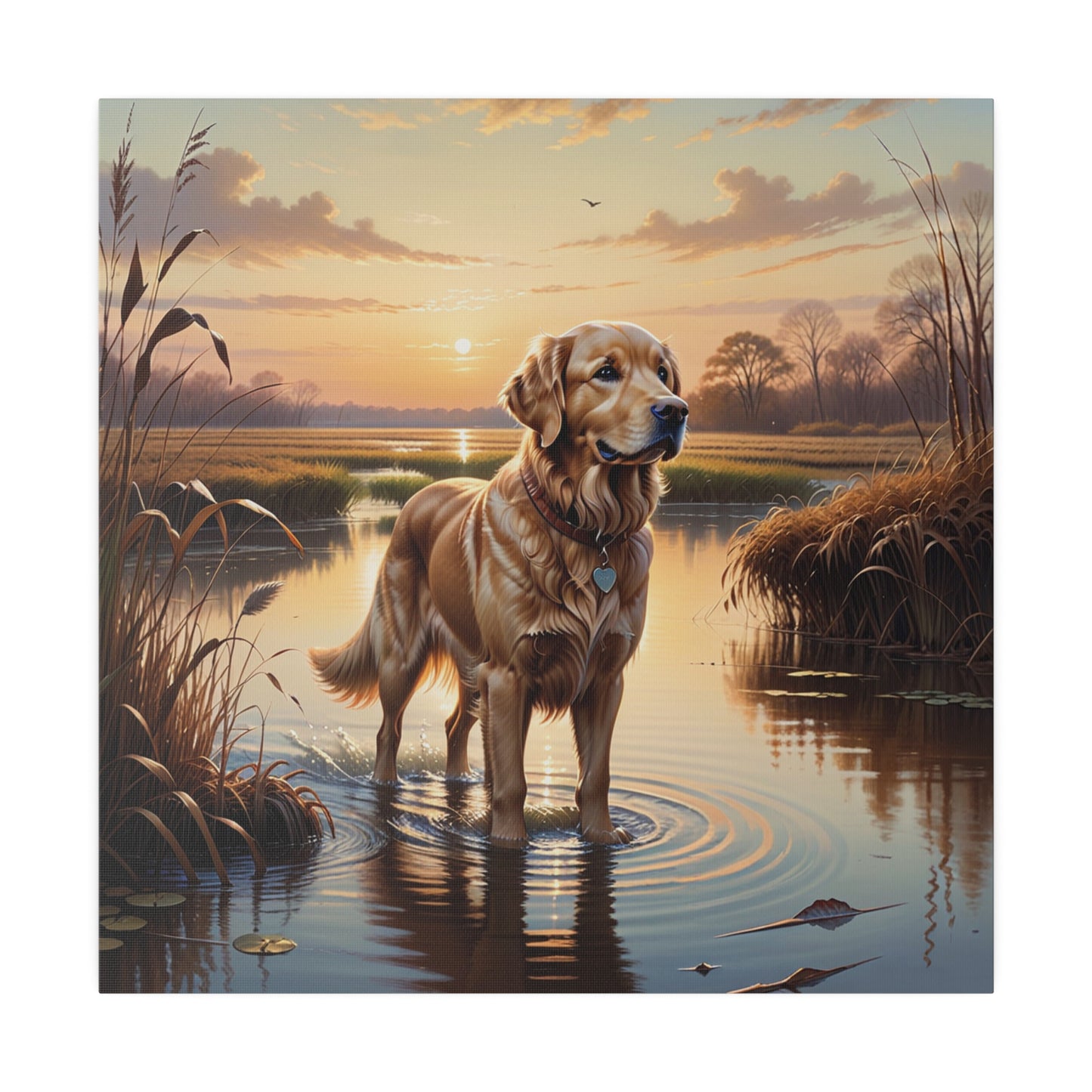 Golden Retriever Canvas Print