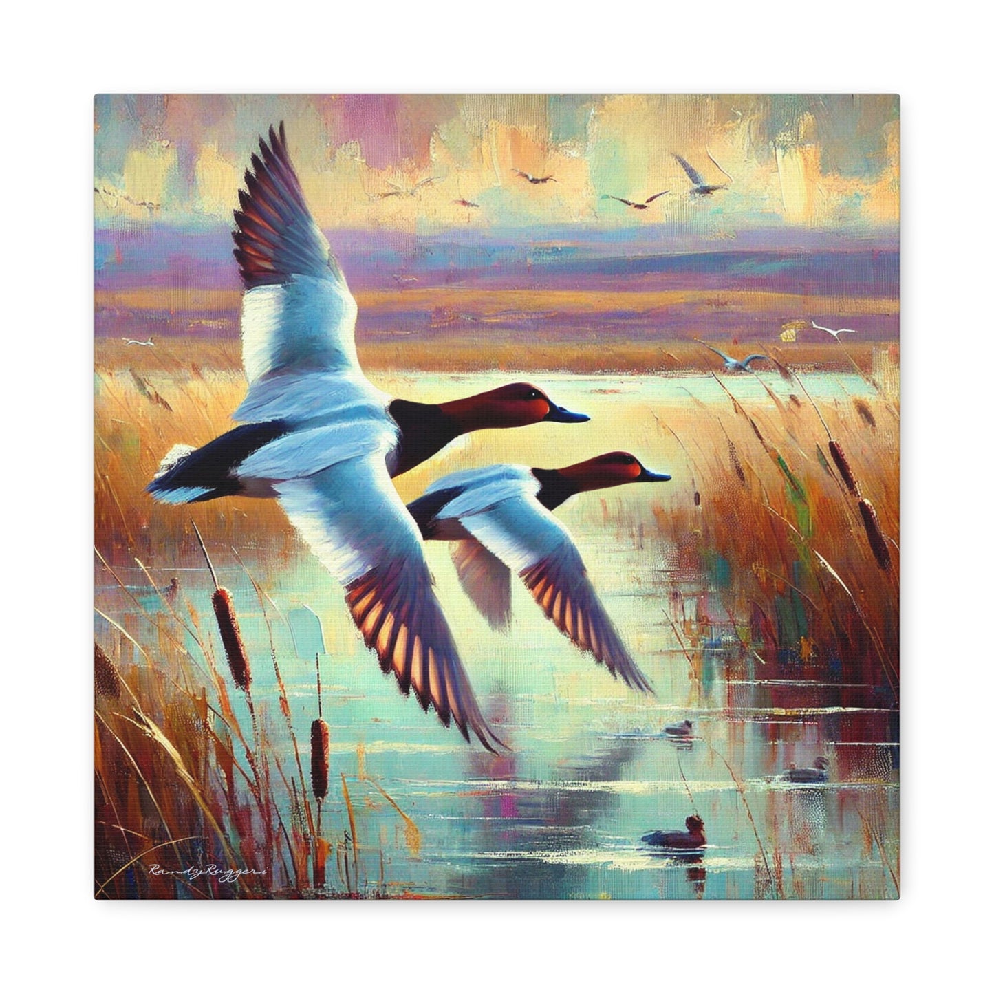 Canvasback Glide Through Tranquil Waters - Matte Canvas Print