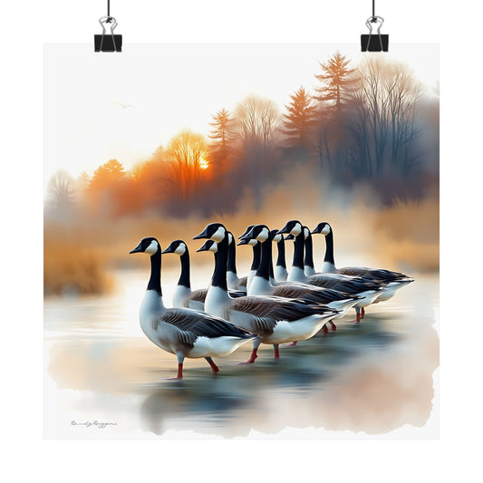 Golden Hour Gathering, Canadian Geese Print