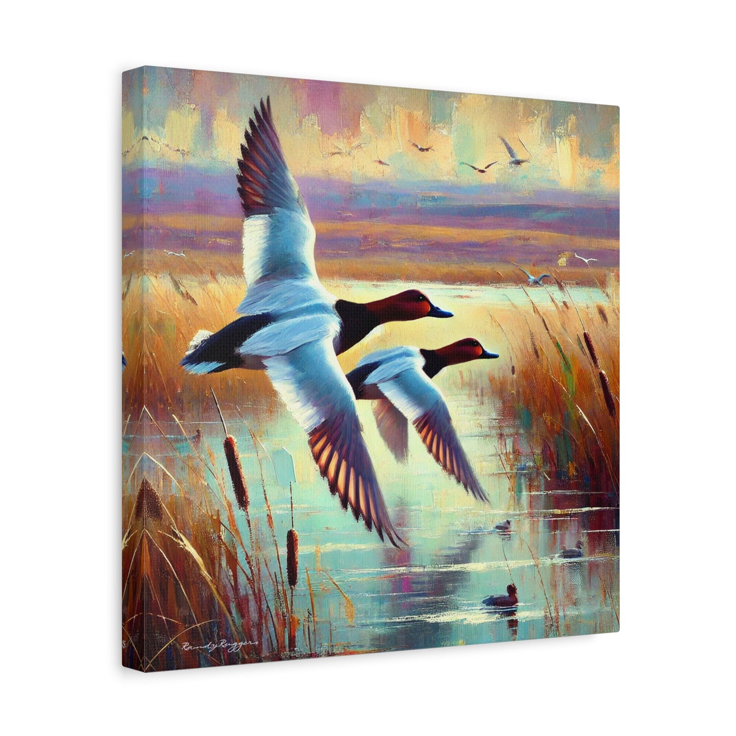 Canvasback Glide Through Tranquil Waters - Matte Canvas Print