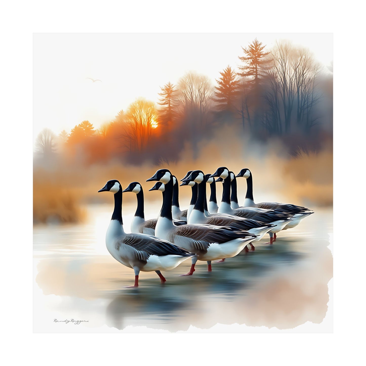 Golden Hour Gathering, Canadian Geese Print