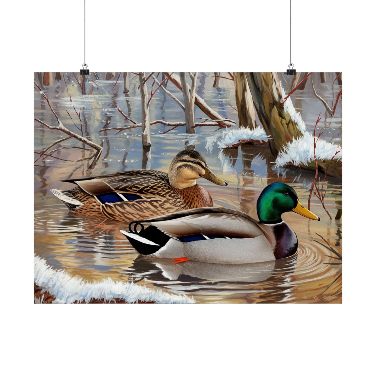 Mallard Ducks Icy Waters Print