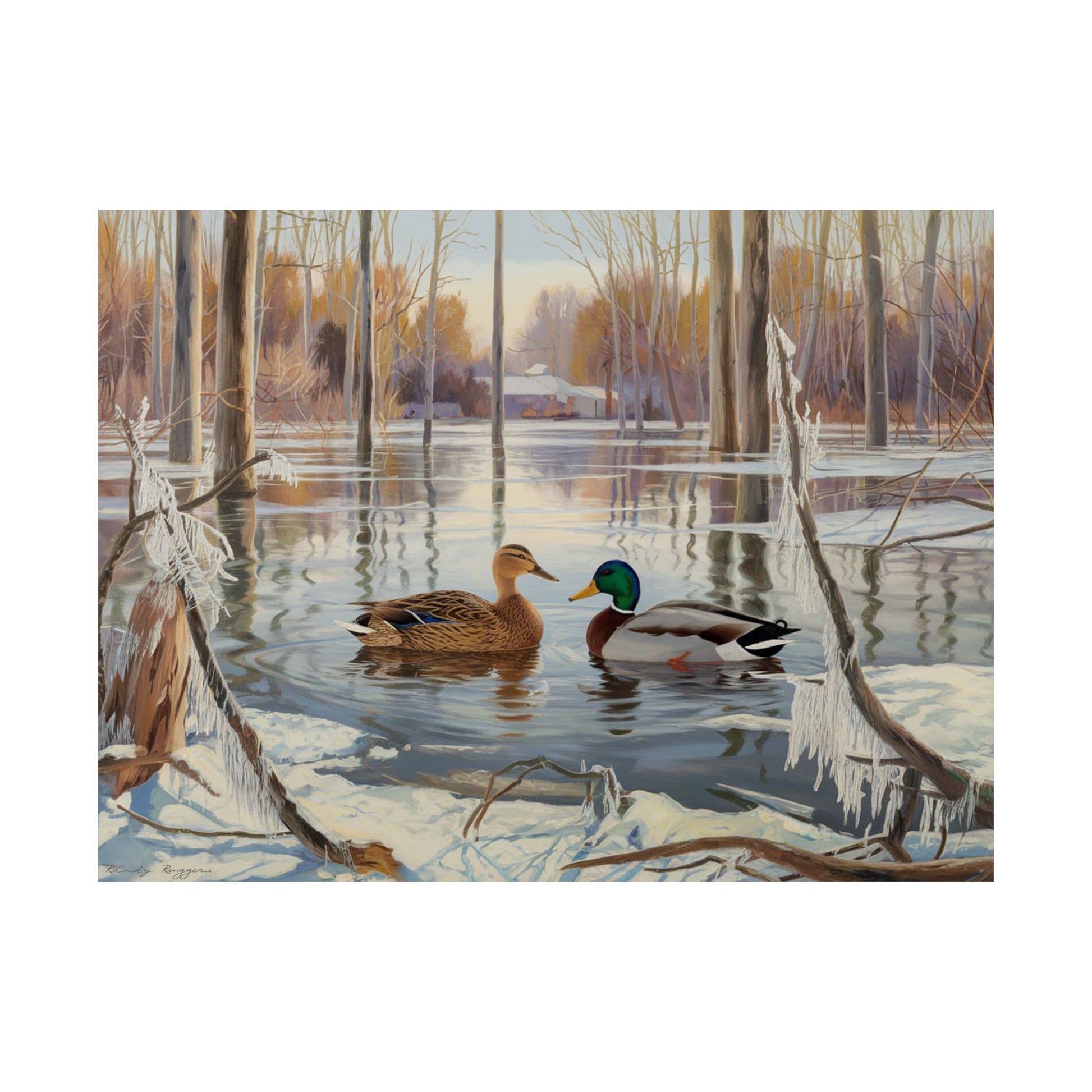 Flooded Timber Winter Ice Land Mallard Duck Print