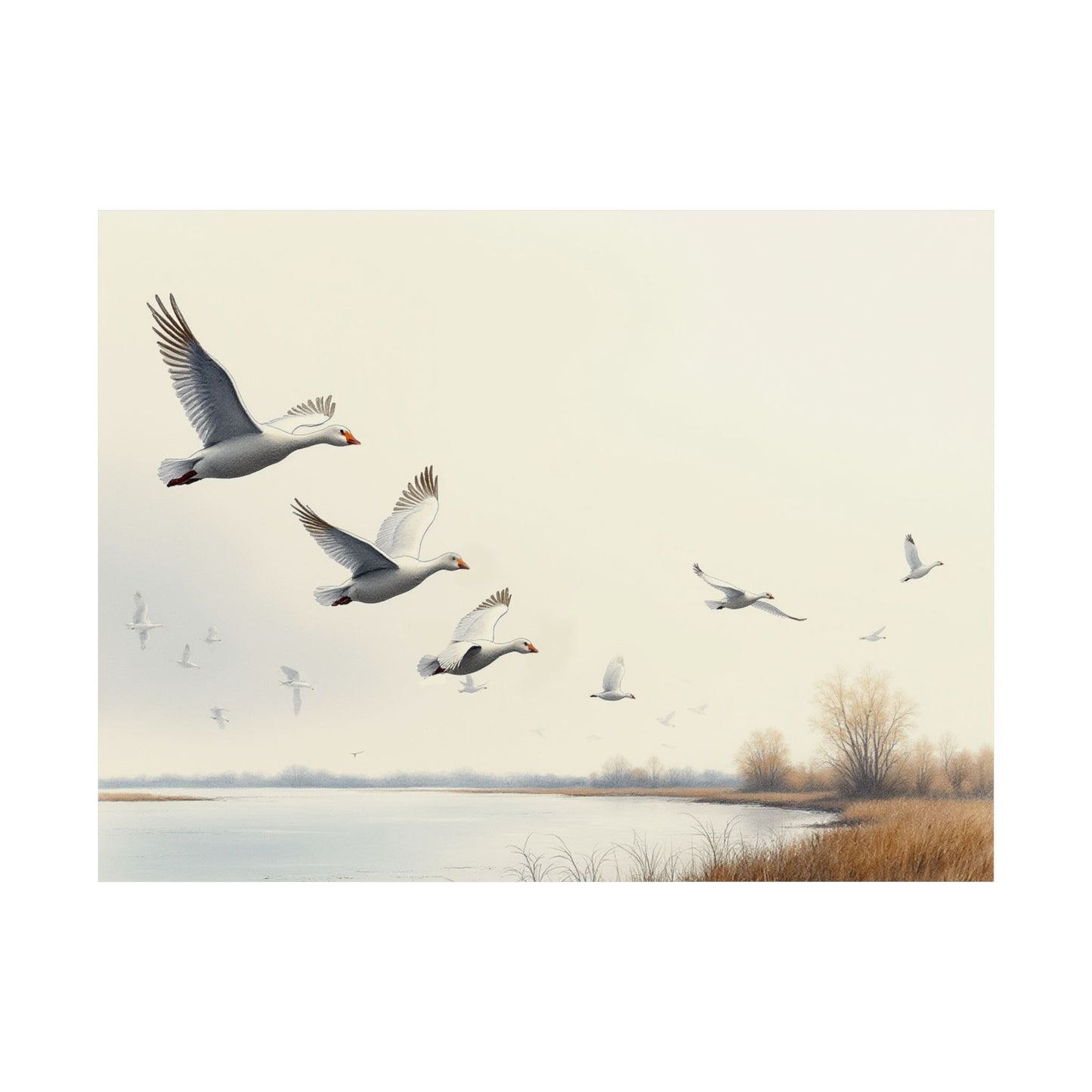 Hazy Skies, Snow Geese Soar Print