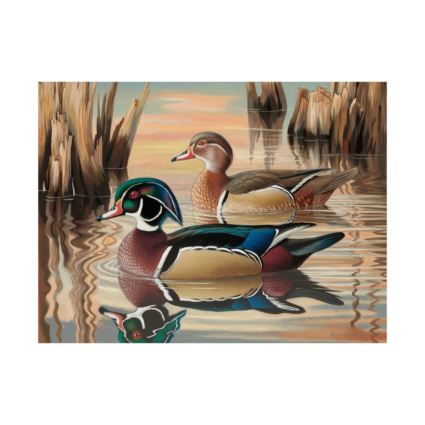 Peaceful Companionship Wood Ducks Print