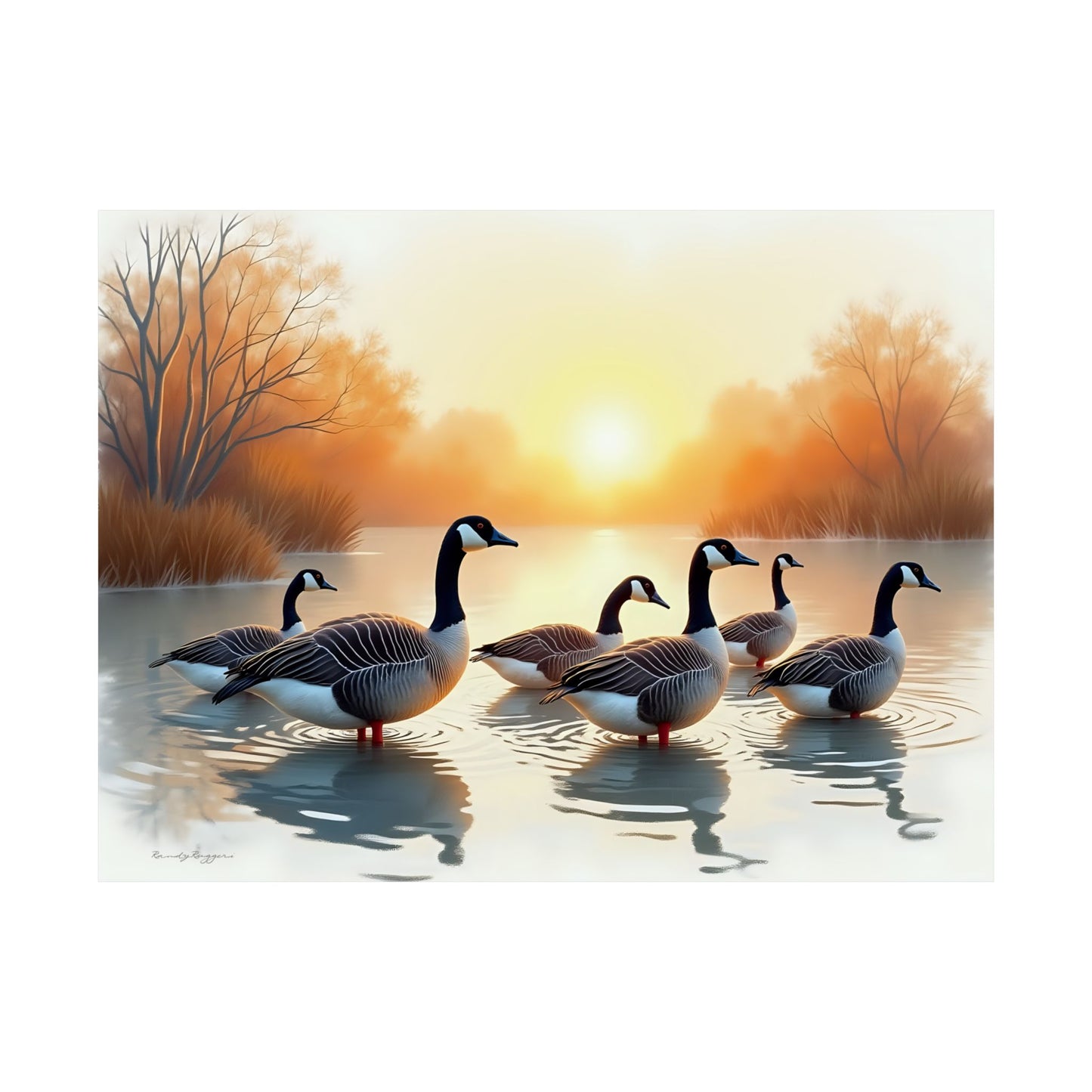 Golden Hour Gathering, Canadian Geese Print