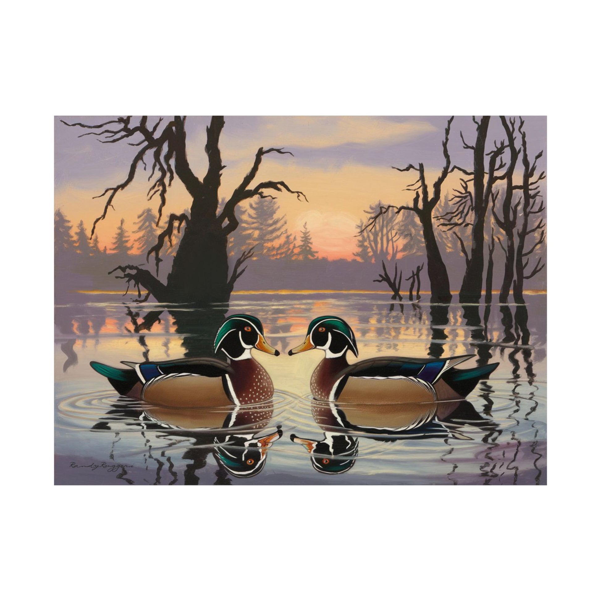 Peaceful Friendship Wood Duck Print