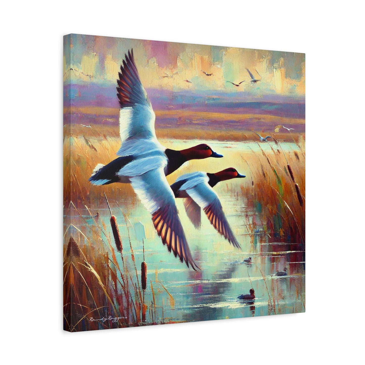 Canvasback Glide Through Tranquil Waters - Matte Canvas Print