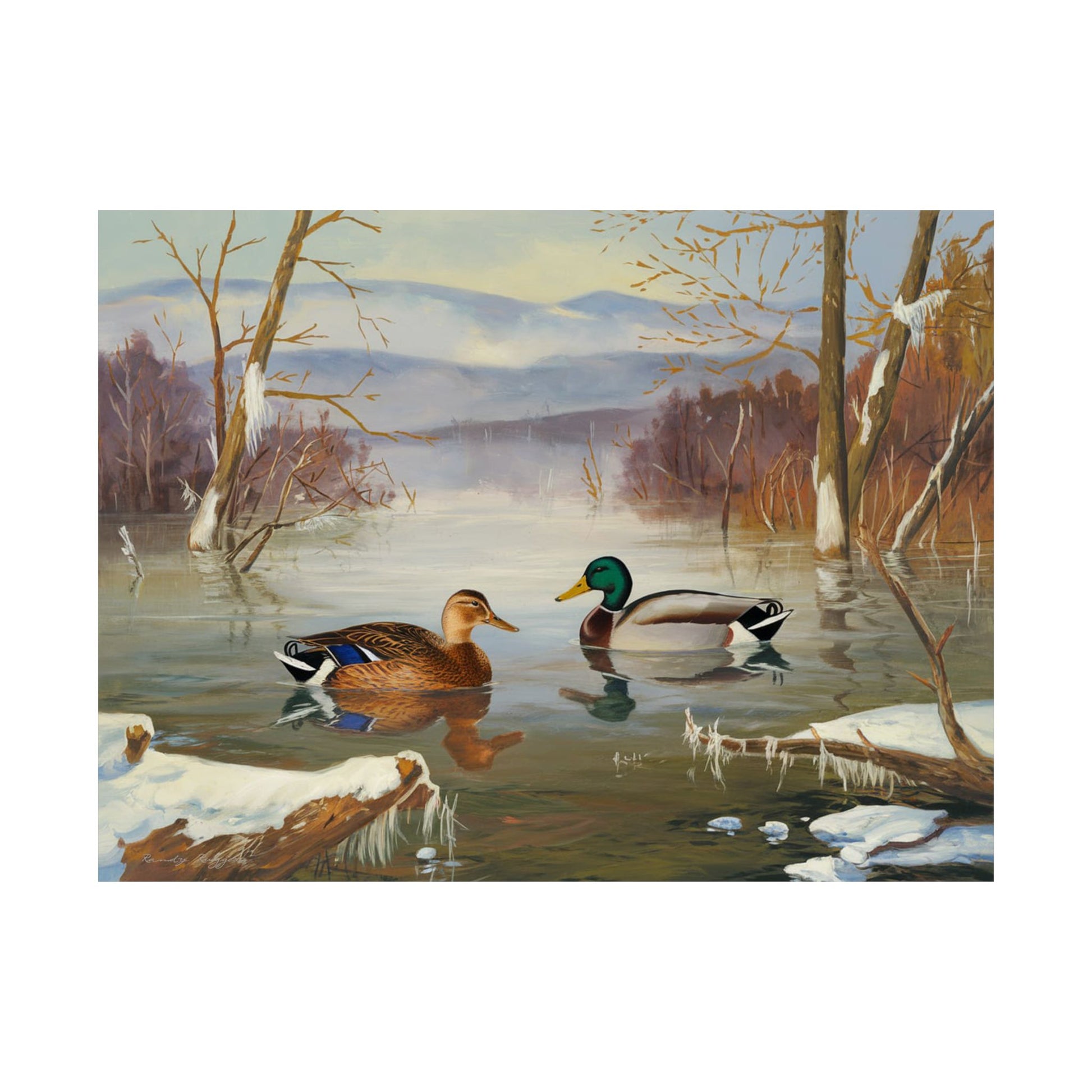 Mallard Ducks Winter Wildlife Print