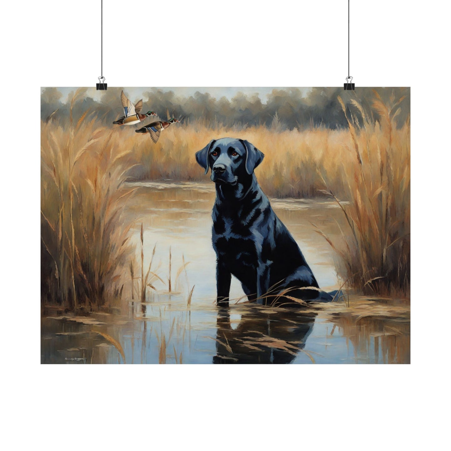 Black Labrador Retriever Hunting Print