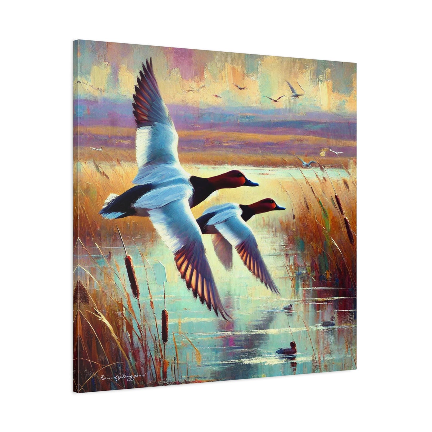 Canvasback Glide Through Tranquil Waters - Matte Canvas Print