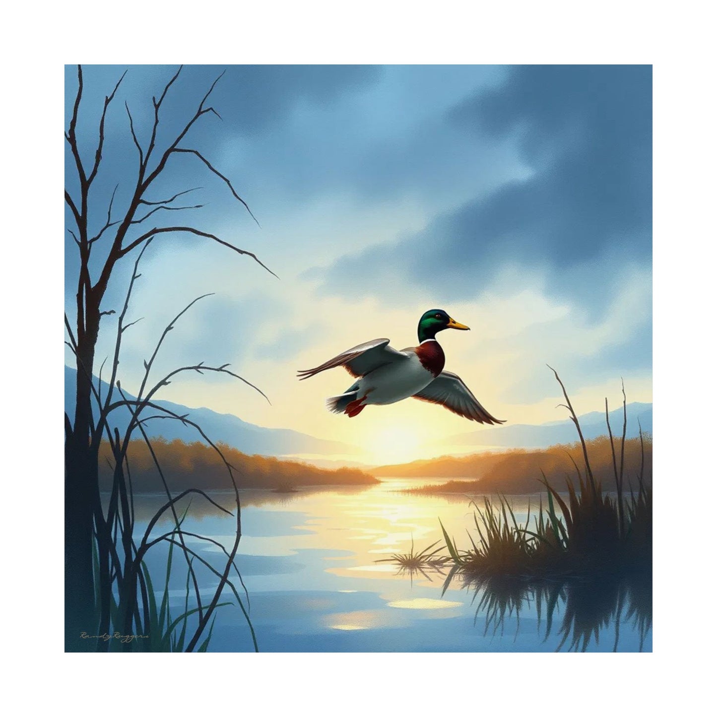 Landing in Solitude Mallard Duck Print